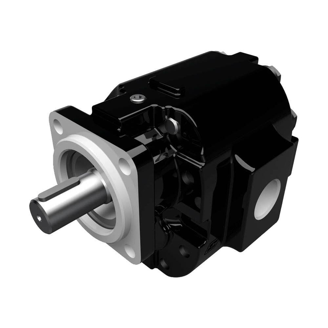 Cast Iron Pumps – PG076 Series